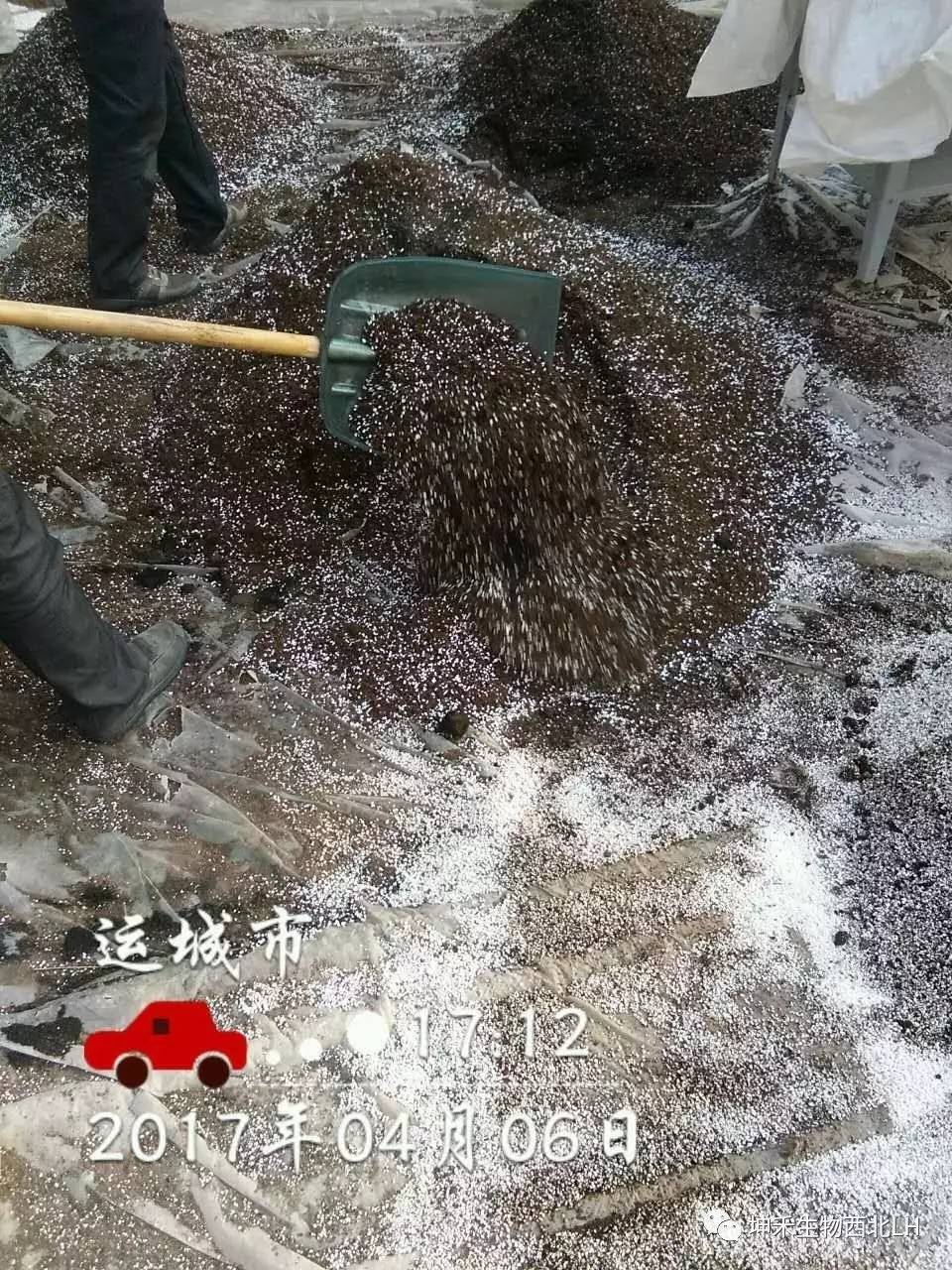 1495276938113689.jpg 微信图片_20170520184039.jpg
