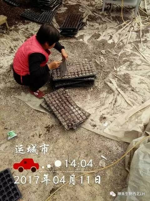 1495276963296575.jpg 微信图片_20170520184049.jpg