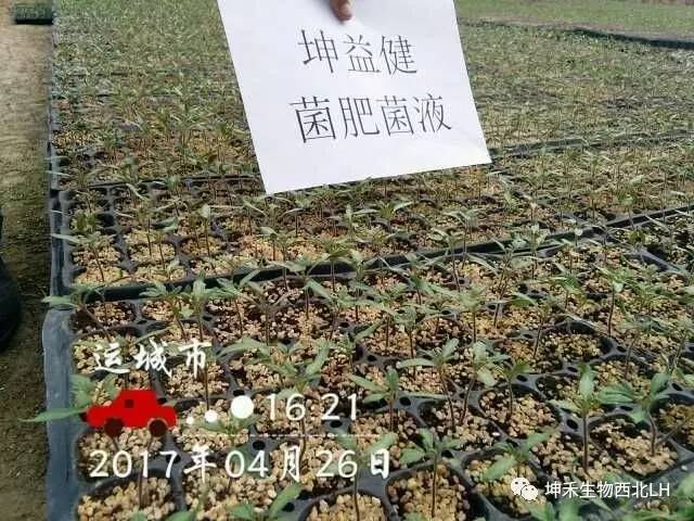 1495277005456997.jpg 微信图片_20170520184057.jpg