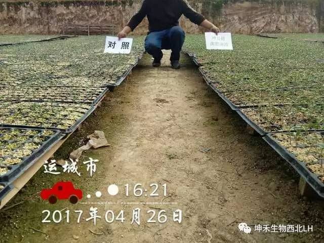 1495277047103246.jpg 微信图片_20170520184104.jpg