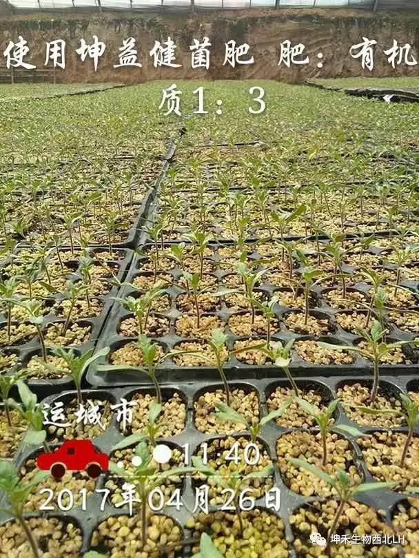 1495277065100251.jpg 微信图片_20170520184109.jpg