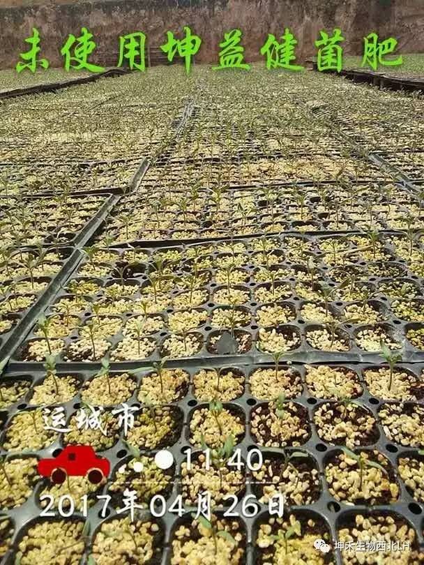 1495277099692510.jpg 微信图片_20170520184116.jpg