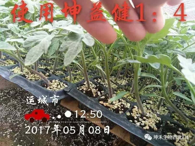 1495277108124615.jpg 微信图片_20170520184124.jpg
