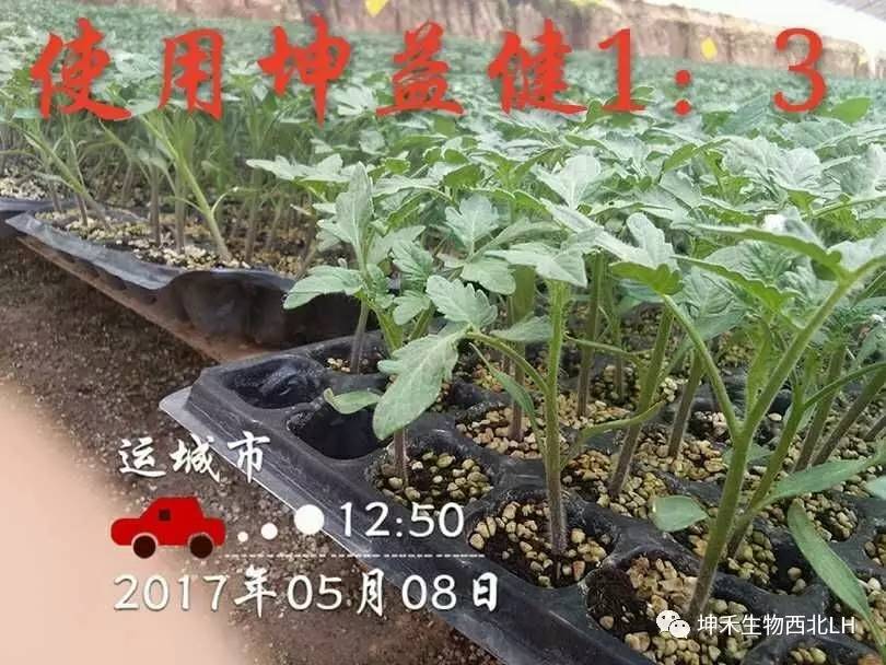 1495277122592246.jpg 微信图片_20170520184119.jpg