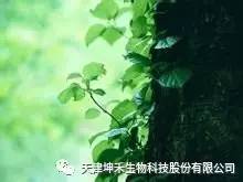1495281181130945.jpg 微信图片_20170520195213.jpg