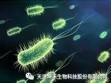 1495281204909519.jpg 微信图片_20170520195216.jpg