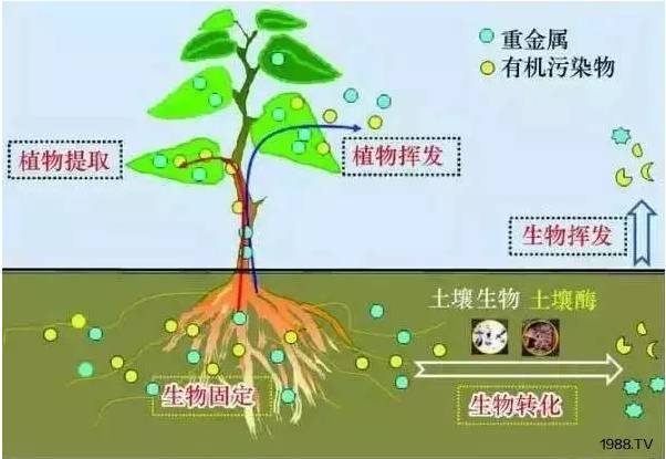 1495342182123716.jpg 微信图片_20170521124910.jpg
