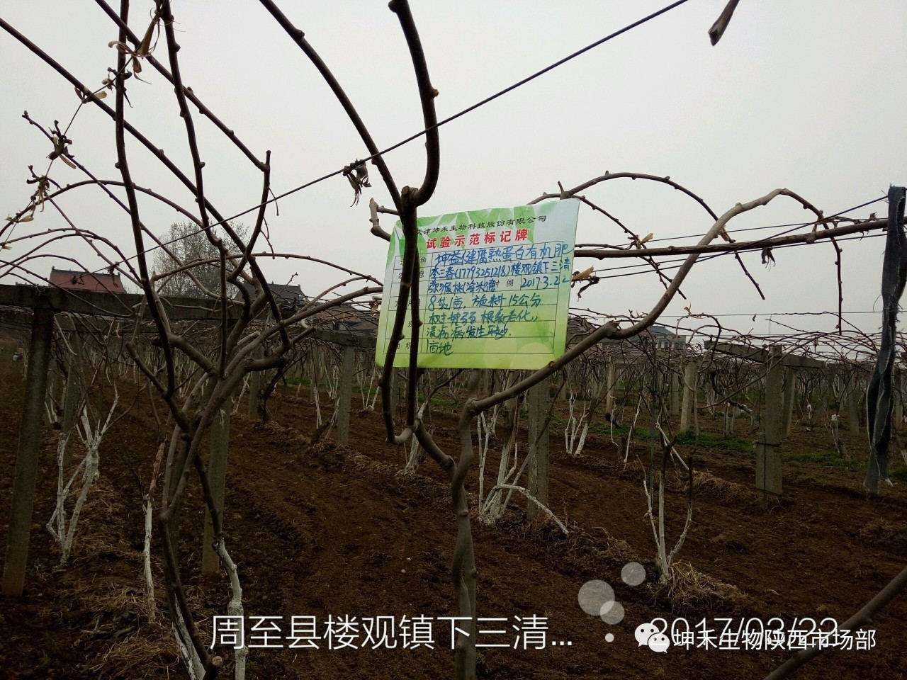 1495693482518102.jpg 微信图片_20170525142312.jpg