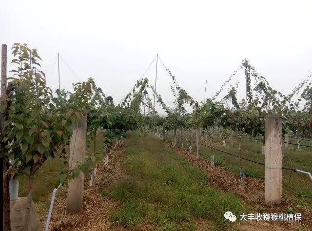1525333684332506.jpg 微信图片_20180416115754.jpg