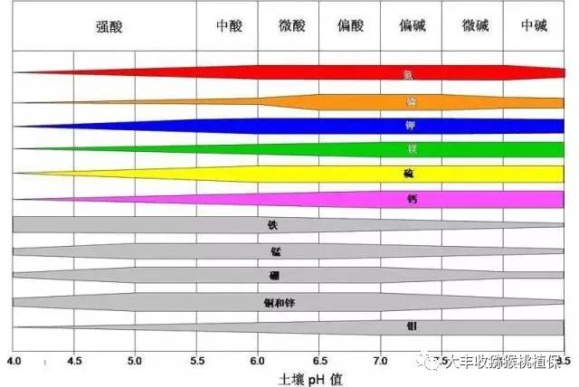 1525333879987019.jpg 微信图片_20180416115809.jpg