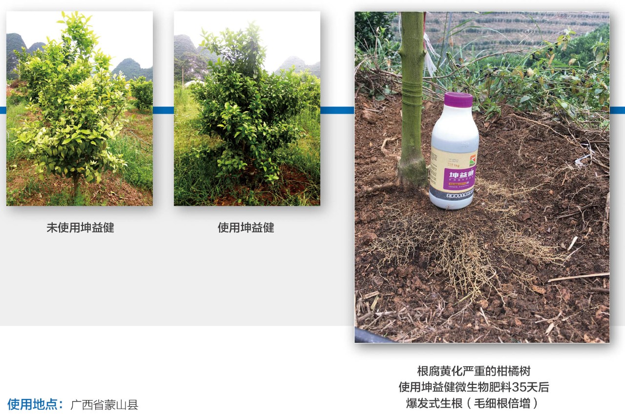 1525336851765406.jpg 微信图片_20180503160320.jpg