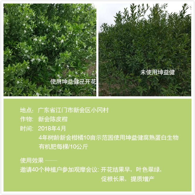 1525683665124908.jpg 陈皮橘(加文字).jpg