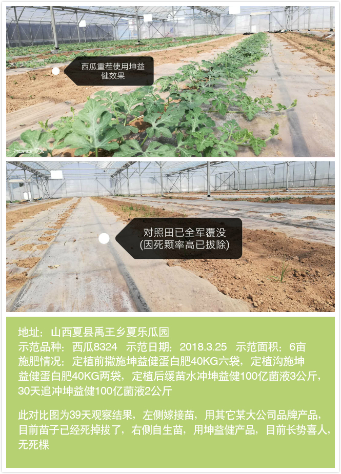 1525685014493574.jpg 西瓜.jpg