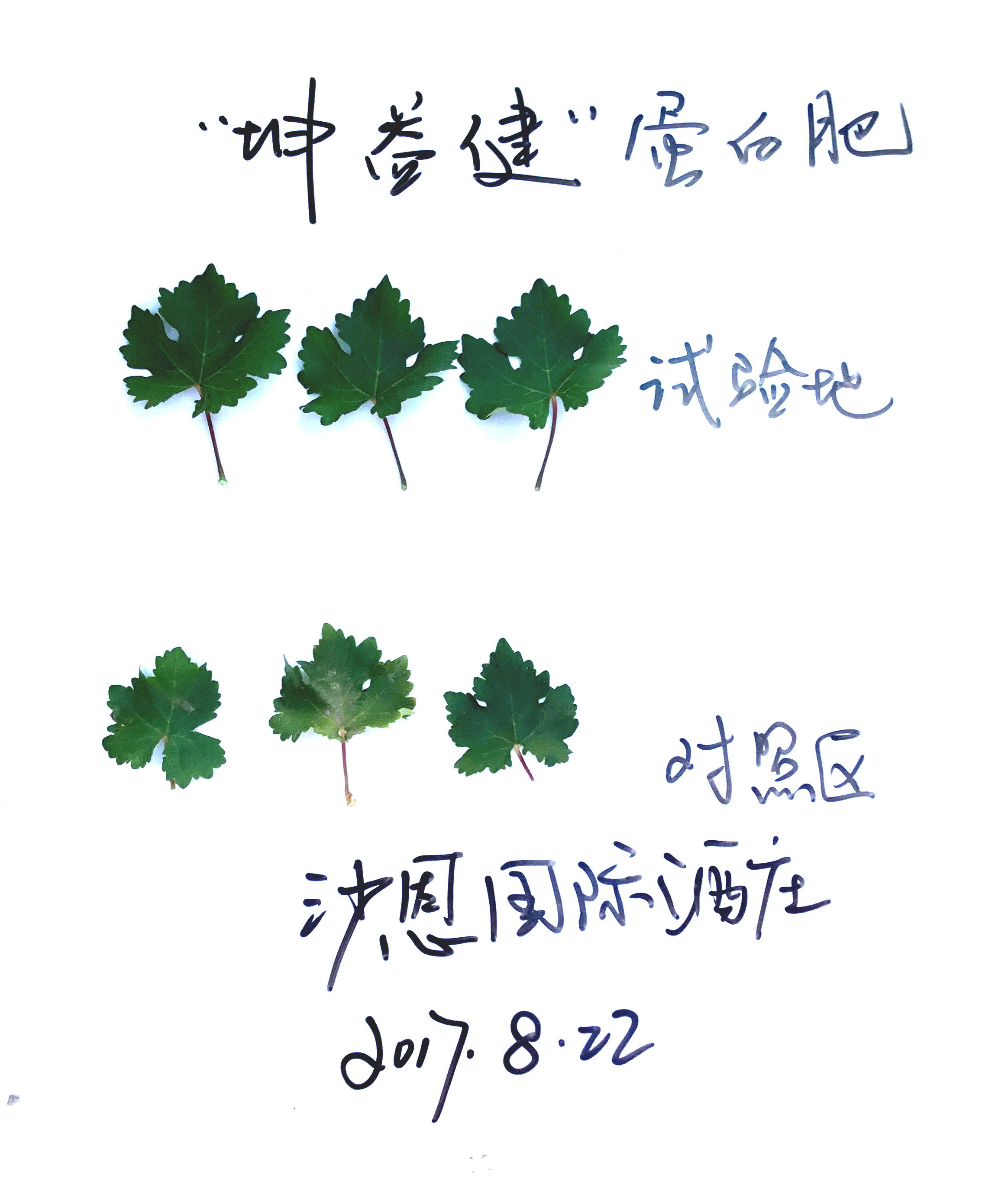 1527753638103495.jpg 微信图片_20171013101151.jpg