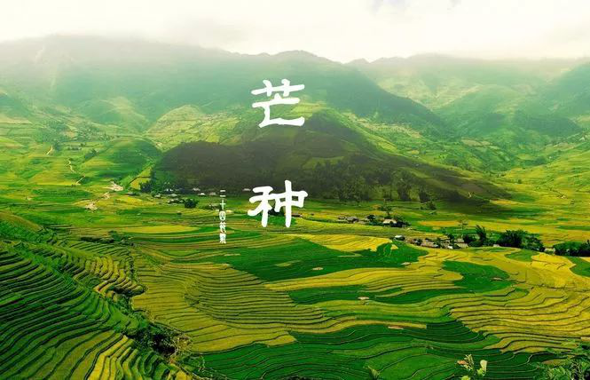 1529735115106921.png 微信图片_20180623142304.png