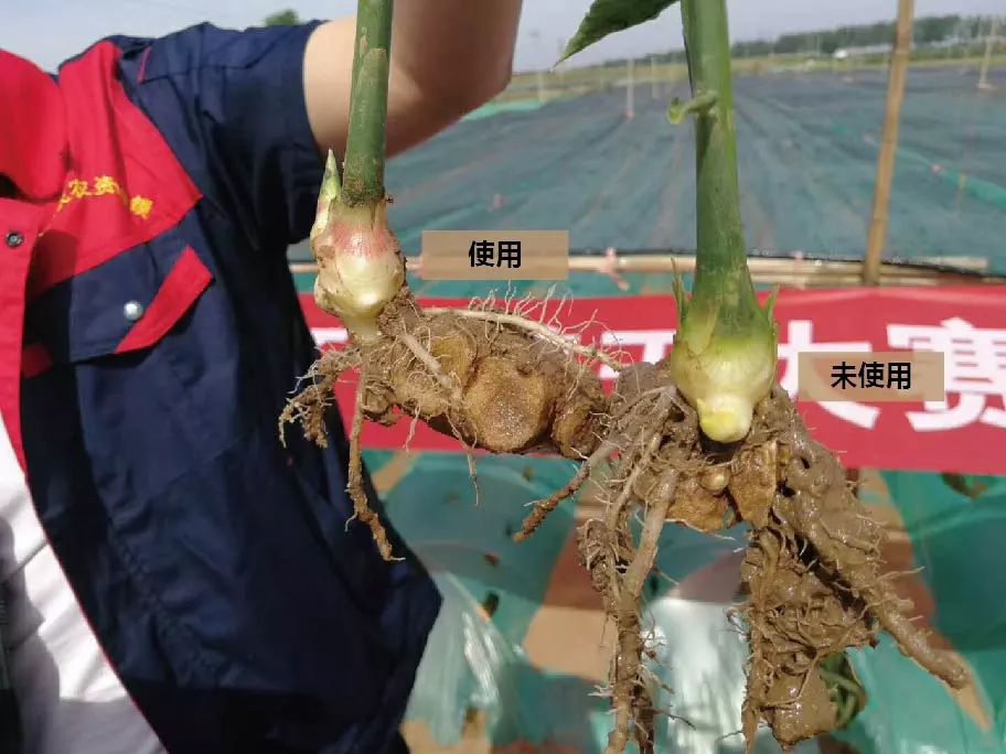 1529735152288313.png 微信图片_20180623142343.png