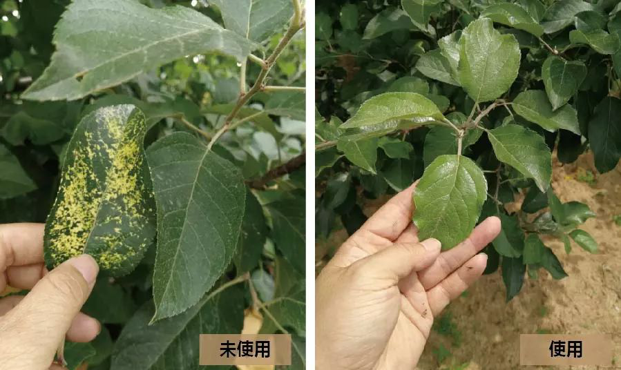 1529735191574990.png 微信图片_20180623142415.png