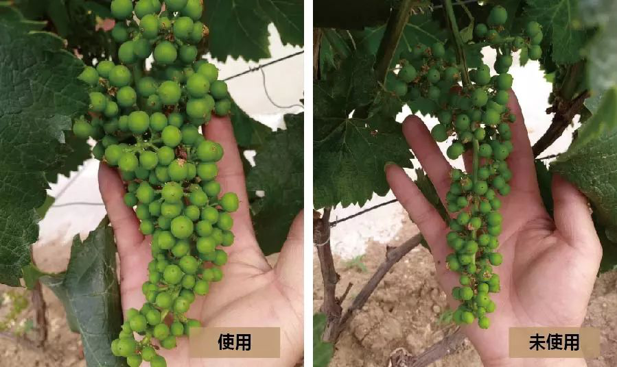 1529735243565136.png 微信图片_201806231424152.png