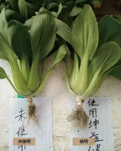 1529735353769063.png 微信图片_201806231424155.png