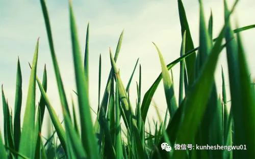 1529738217385435.png 微信图片_201806231455122.png