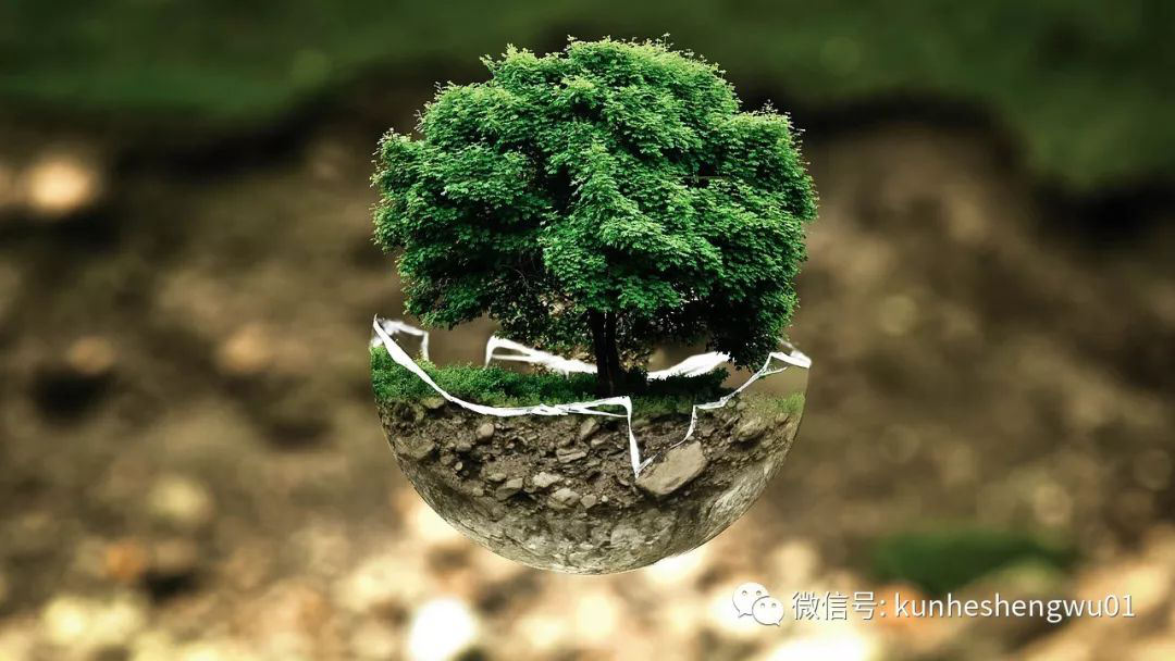 1529738437475242.png 微信图片_201806231455123.png