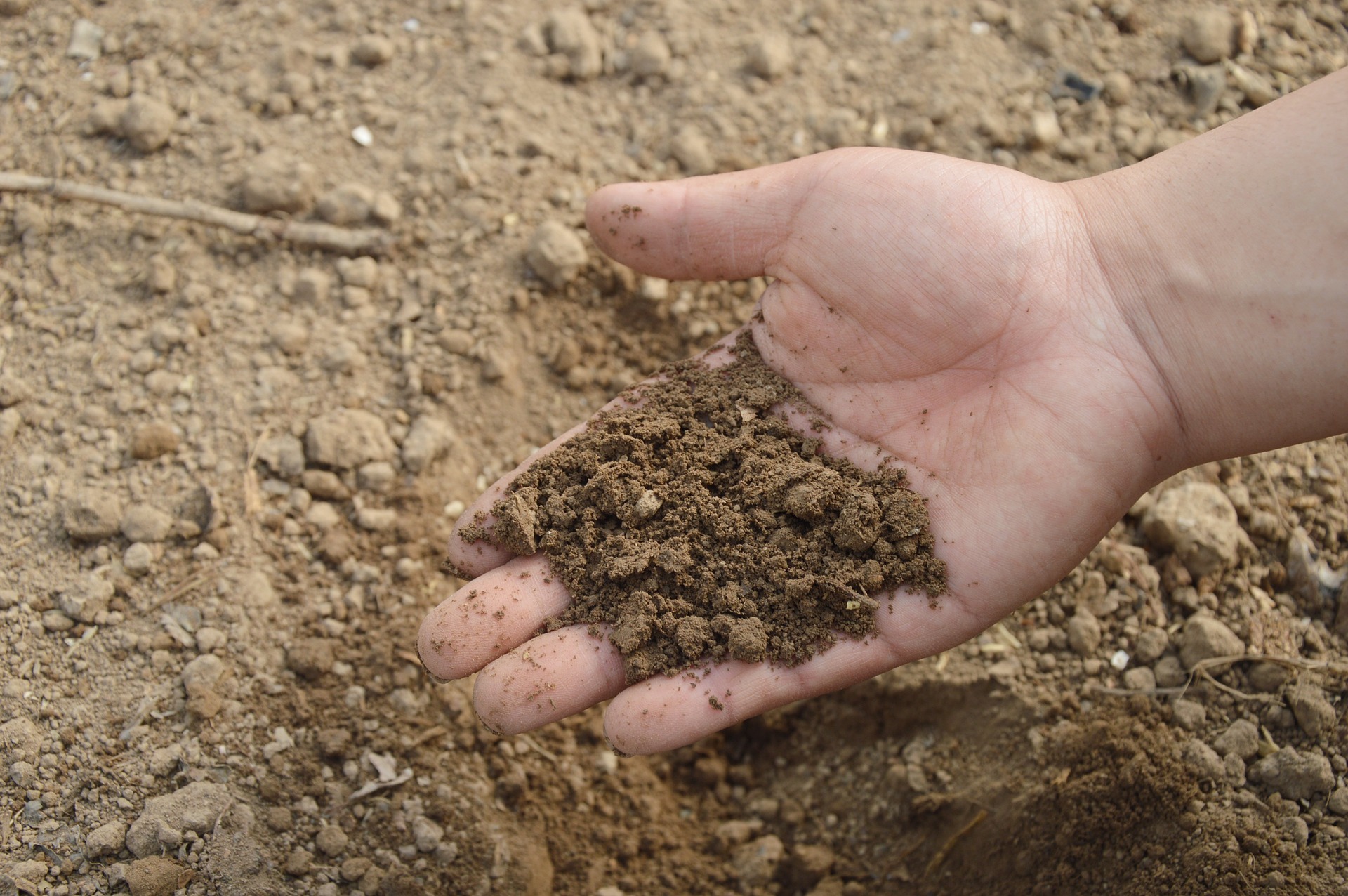 1531286602138768.jpg soil-766281_1920.jpg