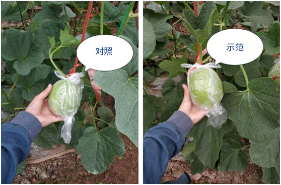 1587957500299707.jpg 微信图片_20200427100102.jpg