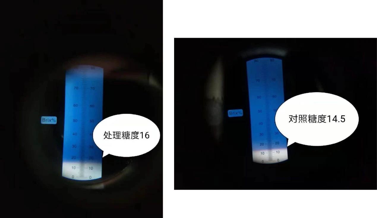 1587957839727236.jpg 微信图片_20200427112351.jpg