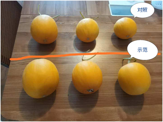 1587957861566192.jpg 微信图片_20200427100054.jpg