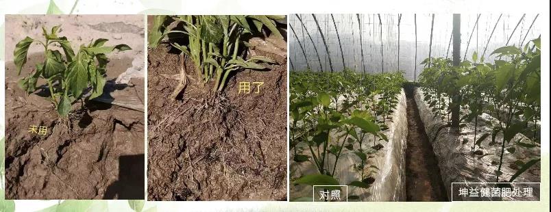 1589161419686416.jpg 微信图片_20200511093225.jpg