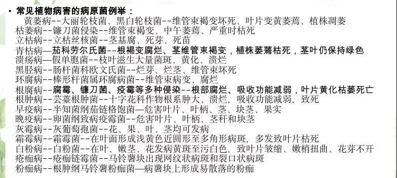 1589161450157592.jpg 微信图片_20200511093228.jpg