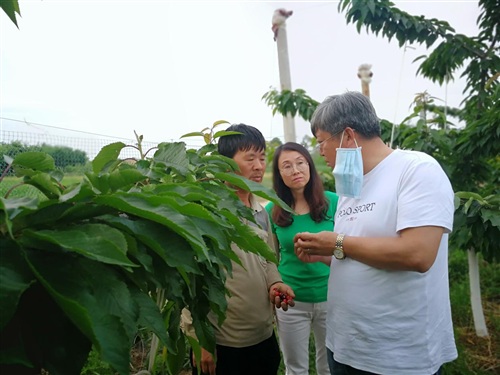 1592279952780604.jpg 微信图片_20200525104725.jpg