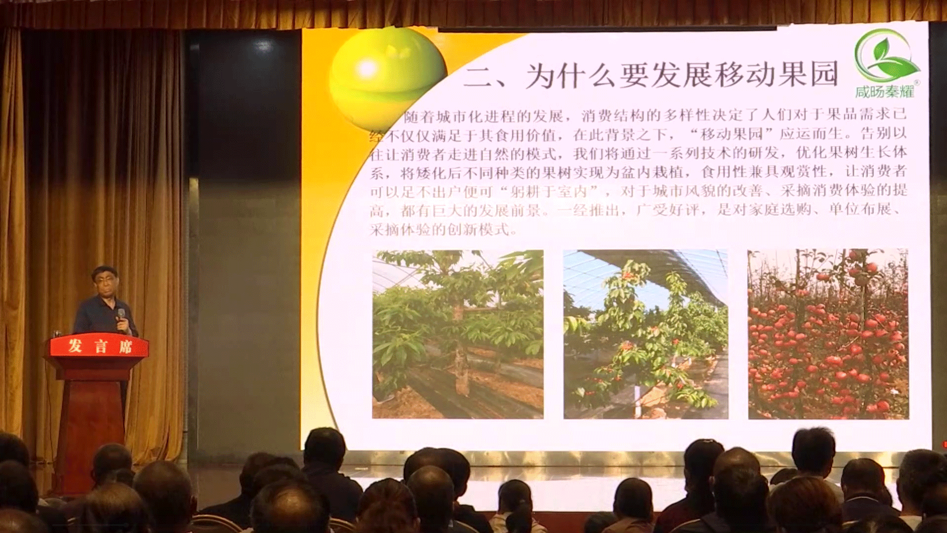 1598422189622915.png 肖老师-压缩.png