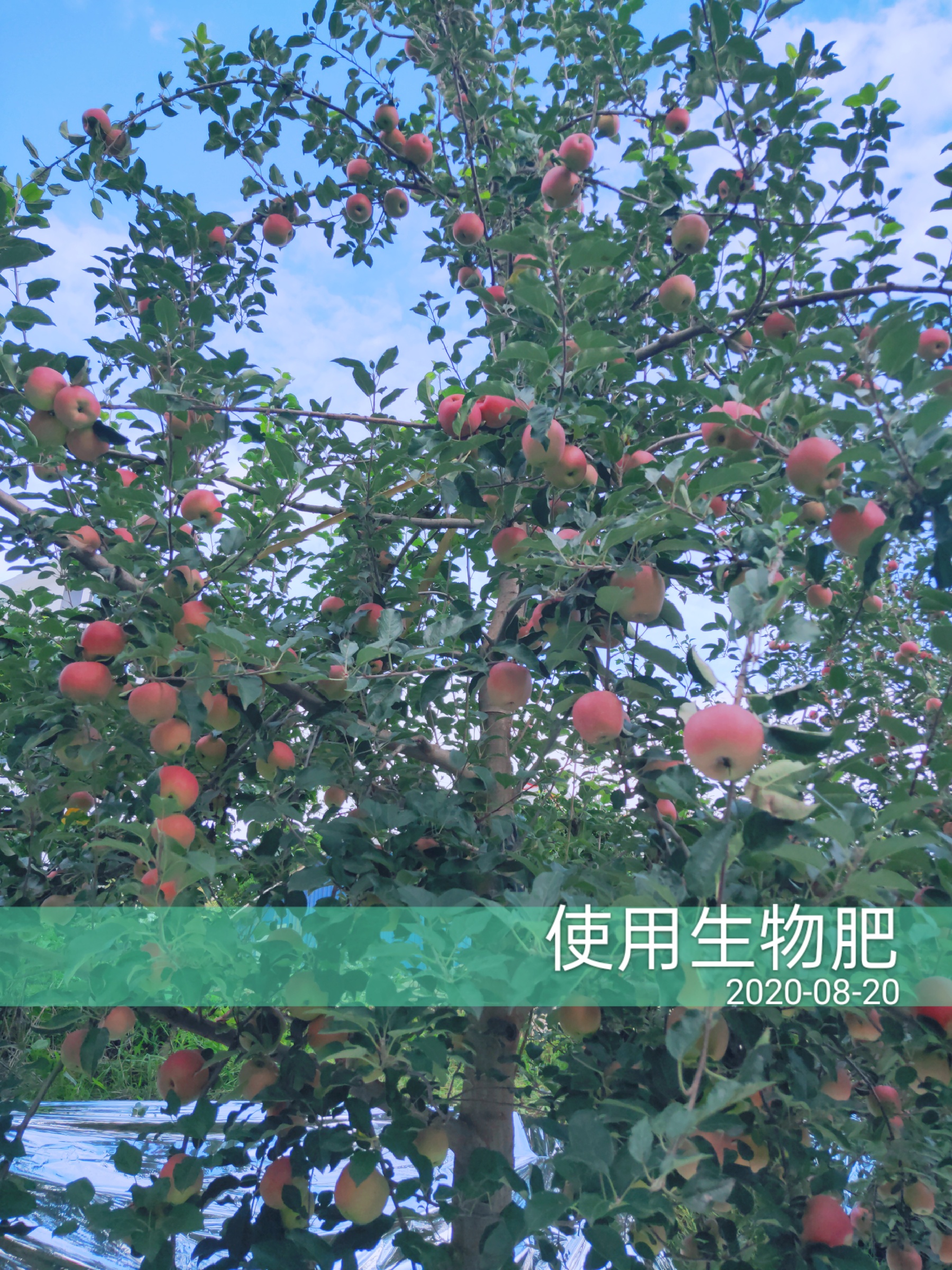 1598498171896482.jpg 微信图片_202008210950176.jpg