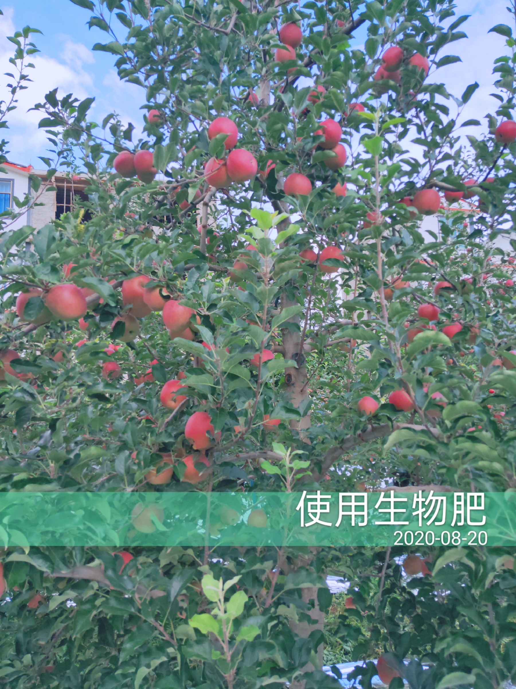 1598498659961663.jpg 微信图片_202008210950172.jpg