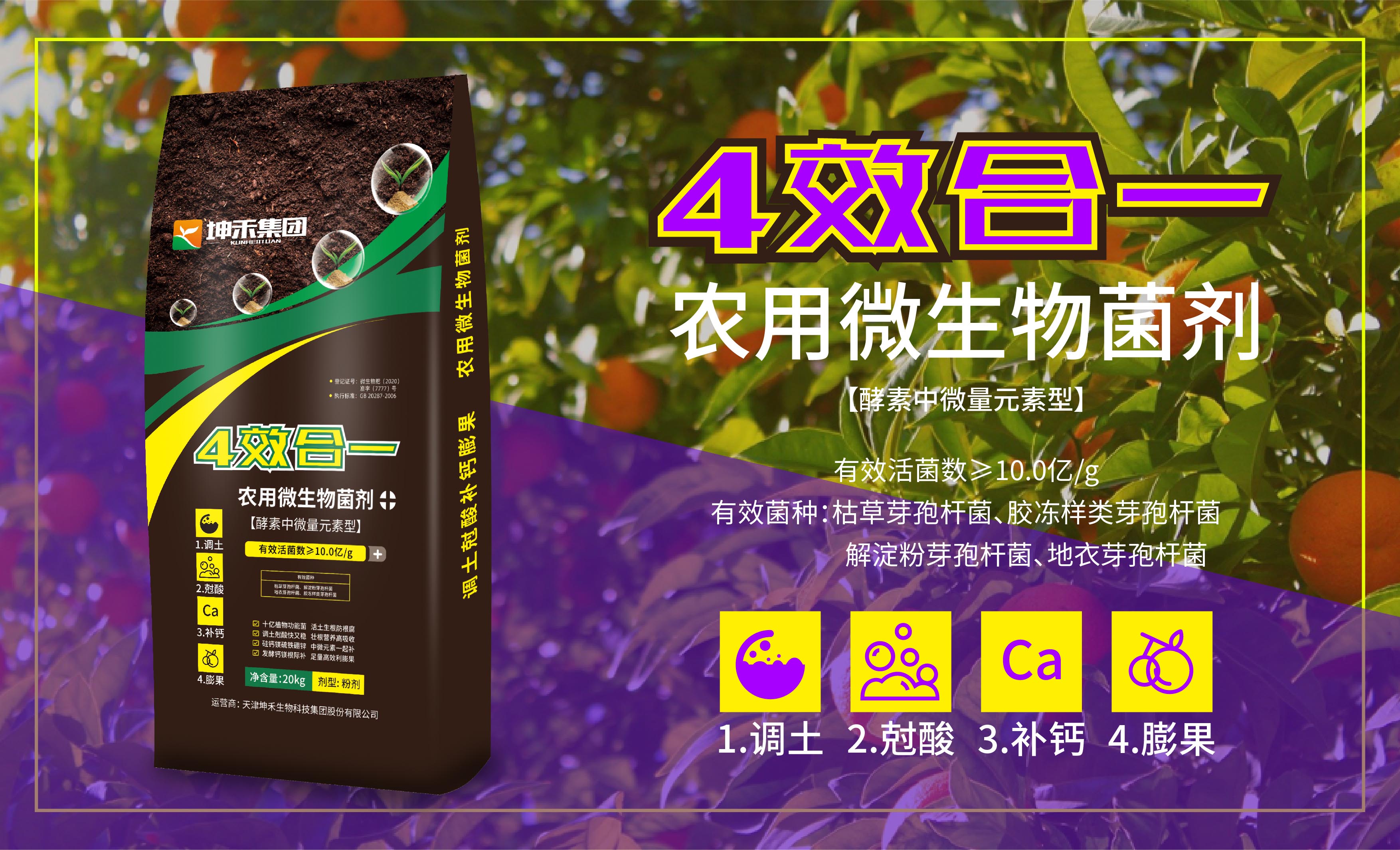1601343565536094.jpg 四效合一海报-压缩.jpg