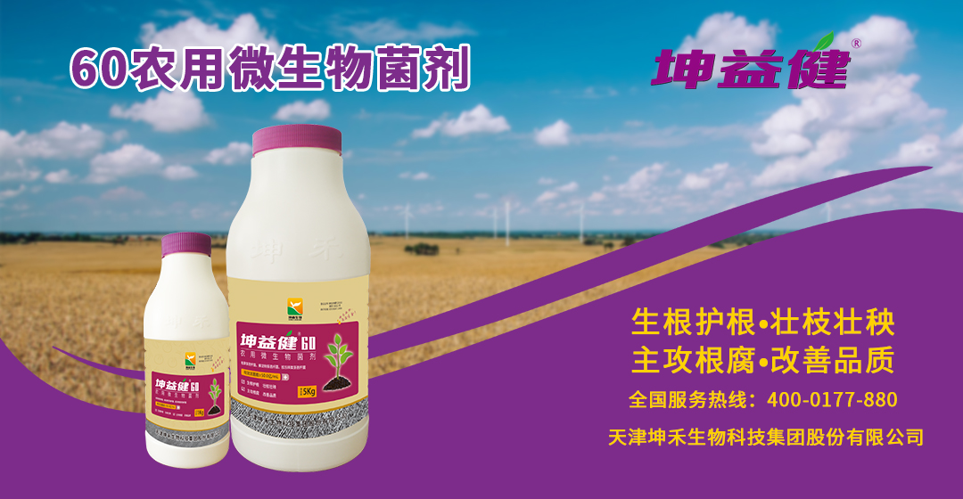 1606441194136747.jpg 坤益健60产品海报banner.jpg