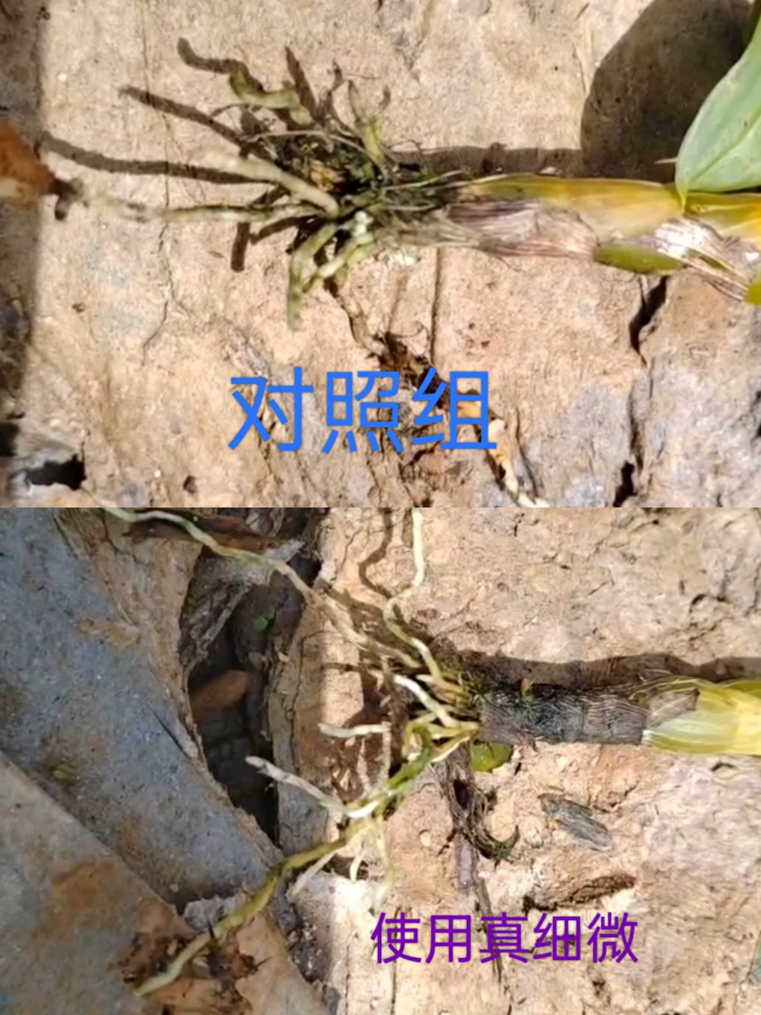 1664507639703735.jpg 微信图片_20220914162314压缩.jpg