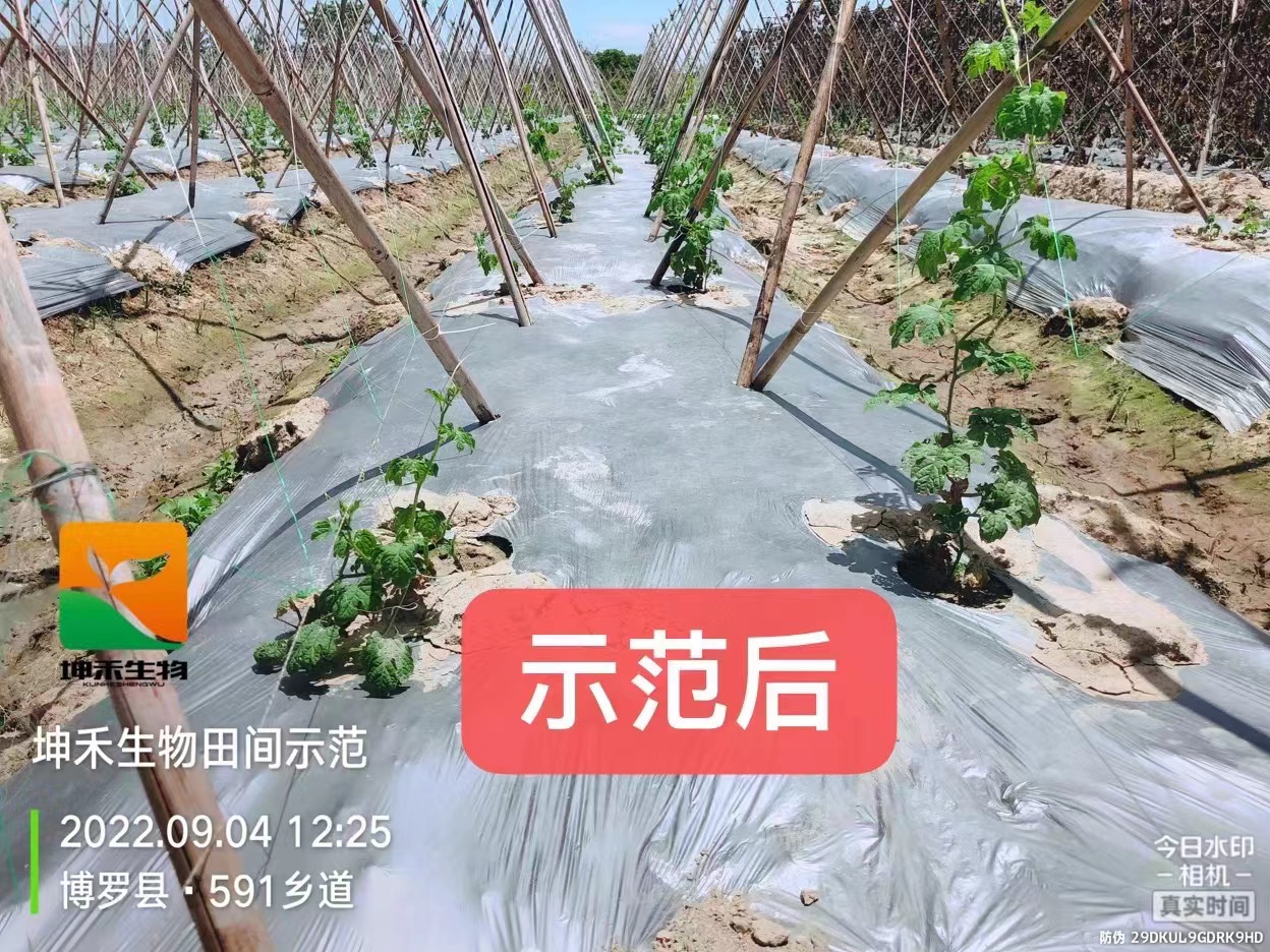 1664507756406141.jpg 微信图片_202209150949025.jpg