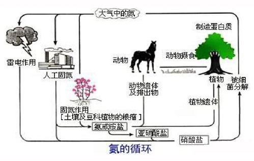 1672886890941942.png 图片1.png