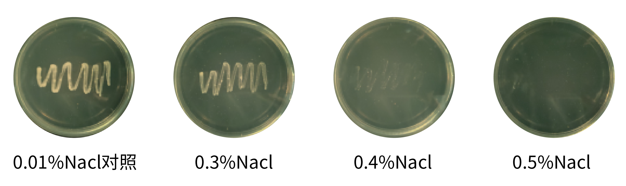 1672891018750324.png 未标题-2-01.png