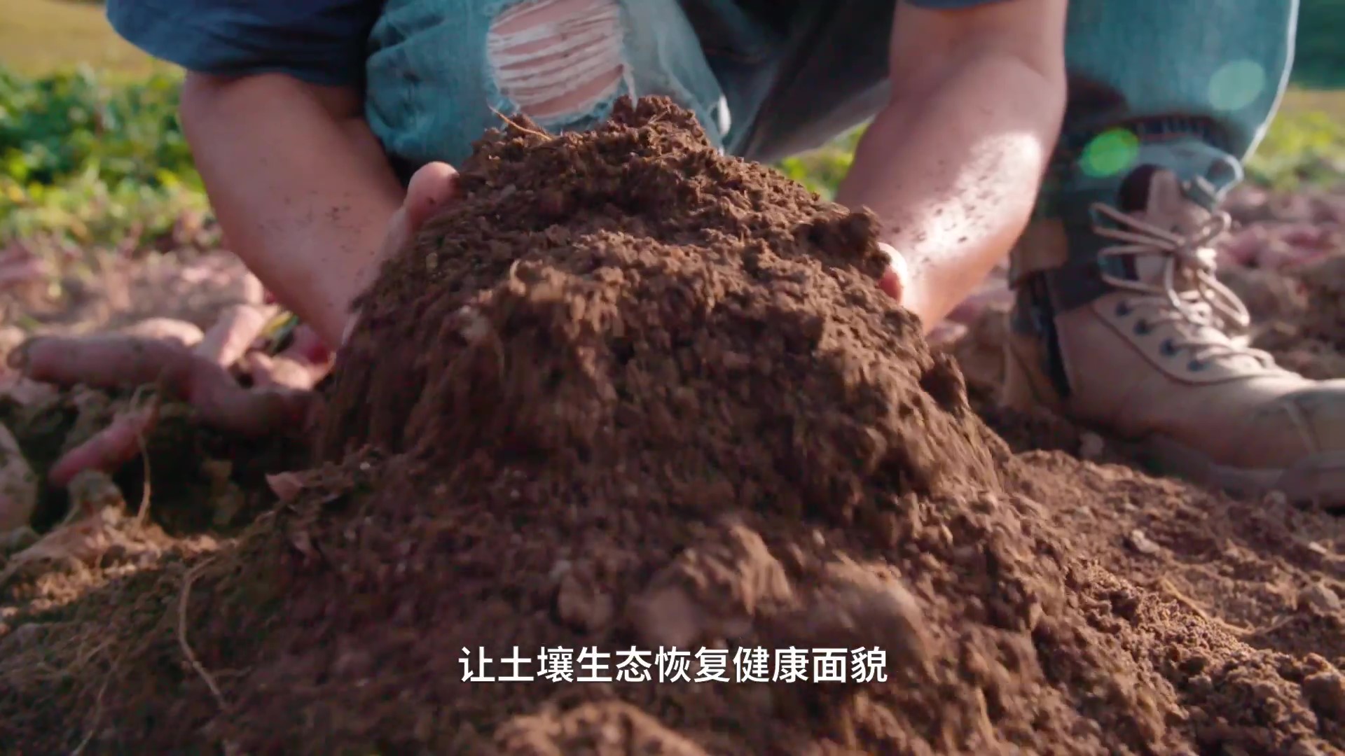 1672893767590071.jpg 坤禾集团宣传片_20211202-定稿(视频号) - frame at 6m33s.jpg