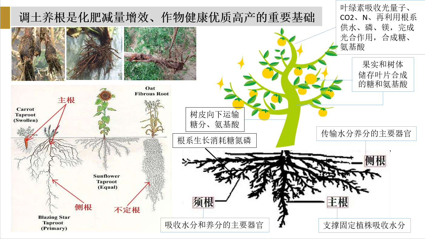 1672895276427586.png 微信截图_20221207114755.png