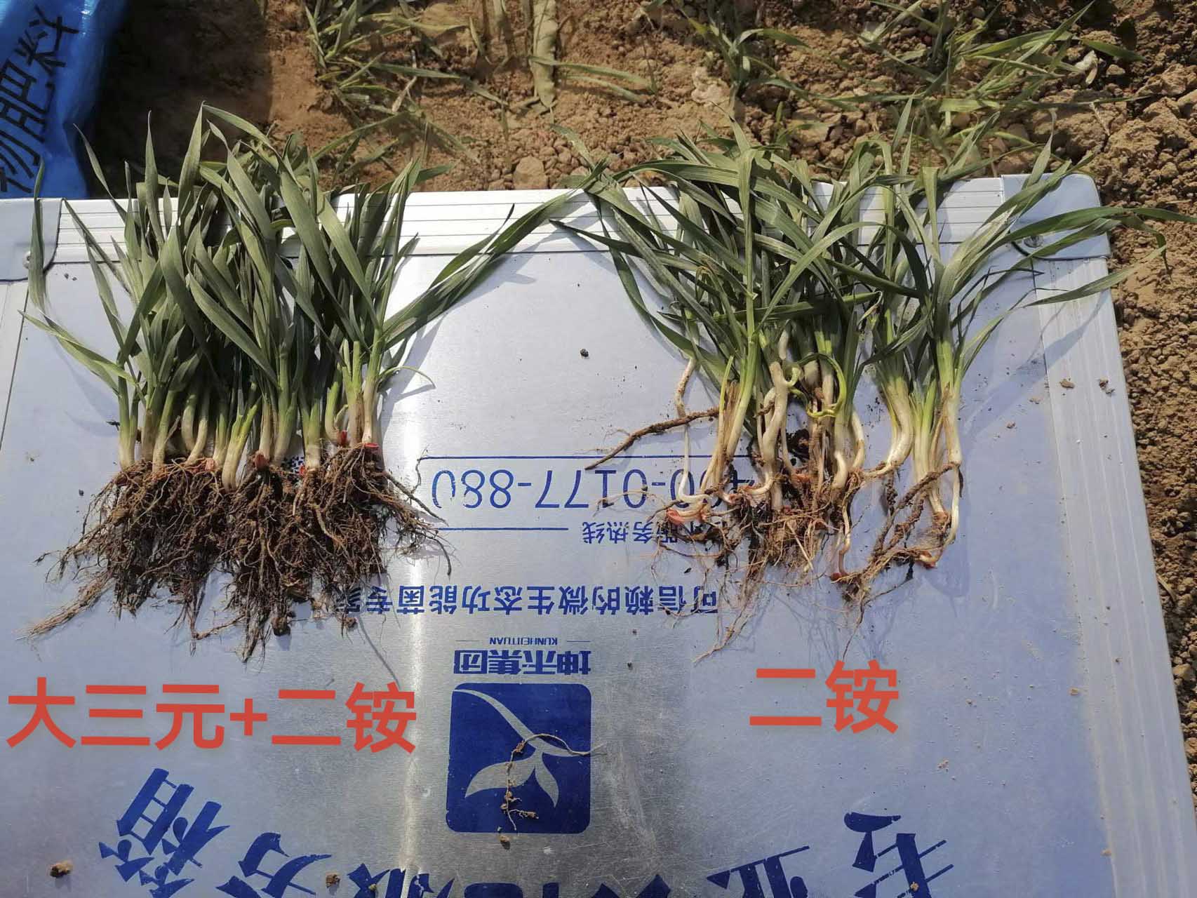 1683615125586199.jpg 微信图片_20221205125127 压缩.jpg