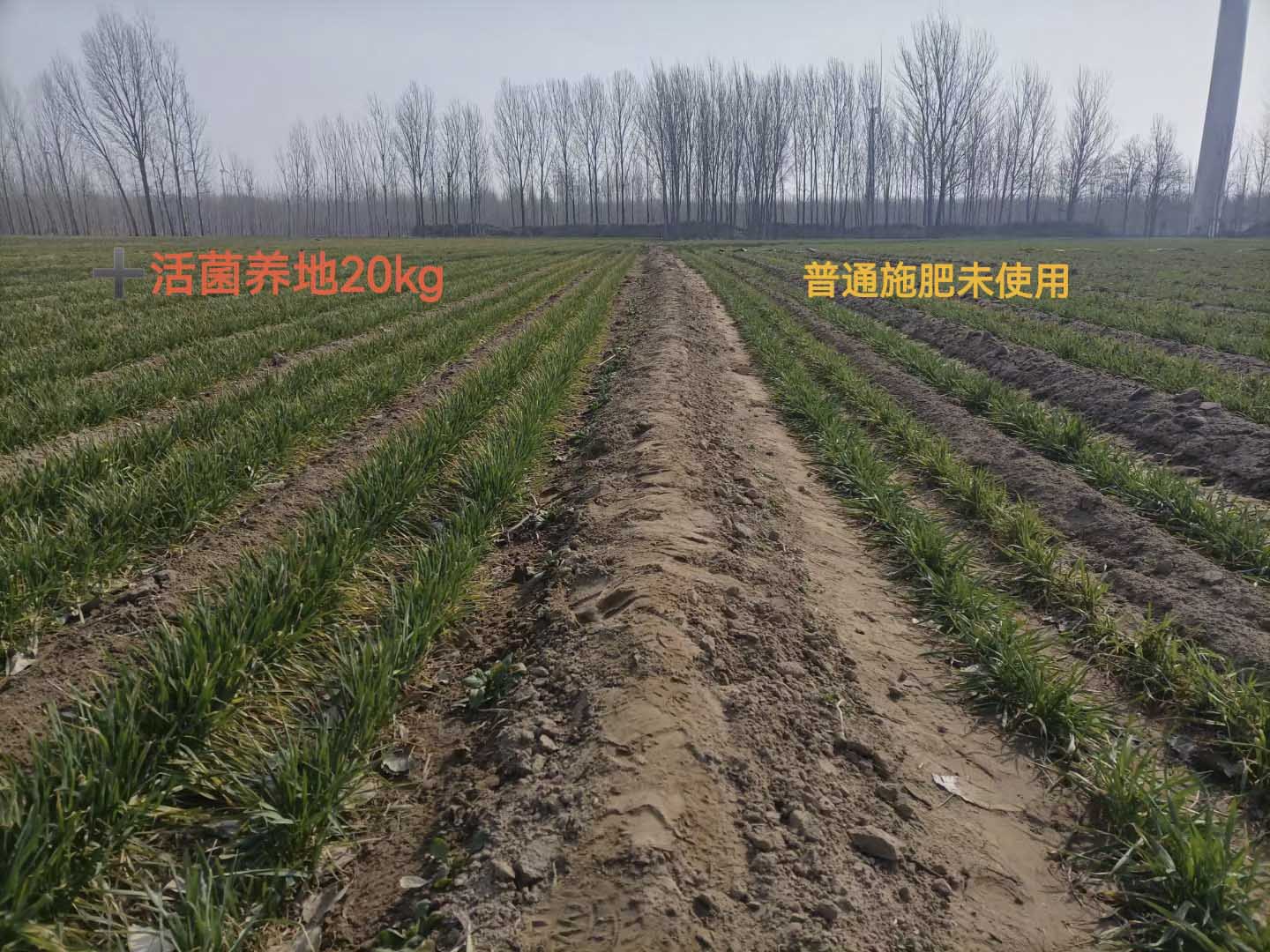 1683615227113606.jpg 微信图片_202305041334121 压缩.jpg