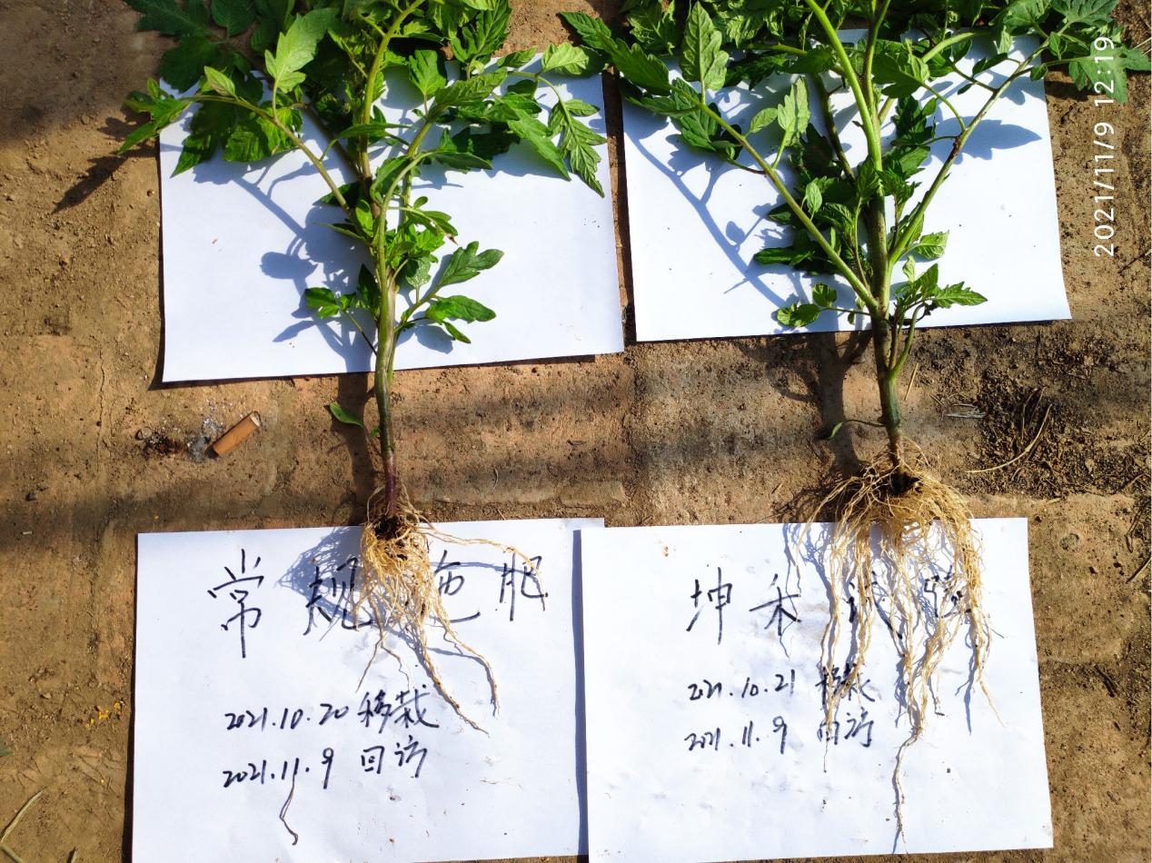1683615666276475.png 图片1.png