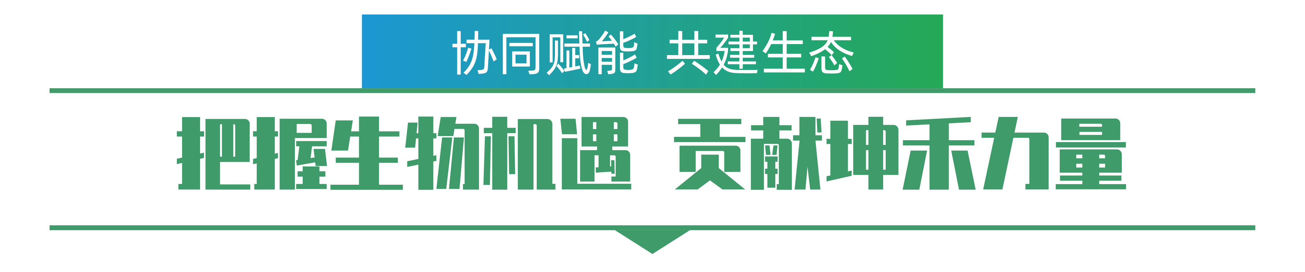 1702258968763369.png 唐广辉-01.png