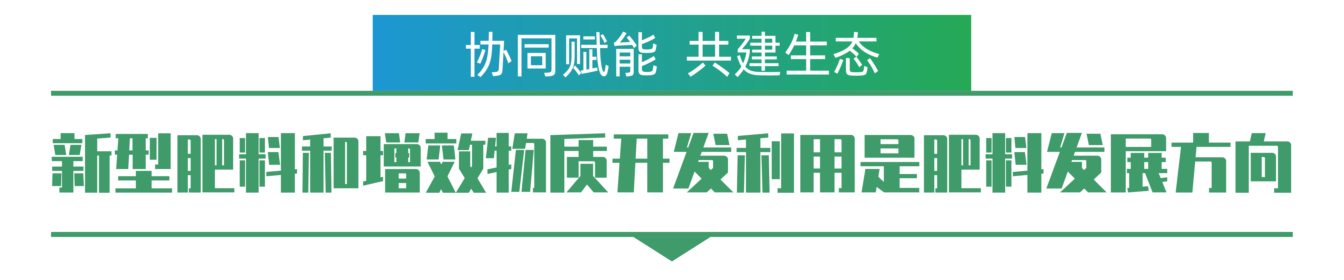 1702259087143522.png 田有国-01.png