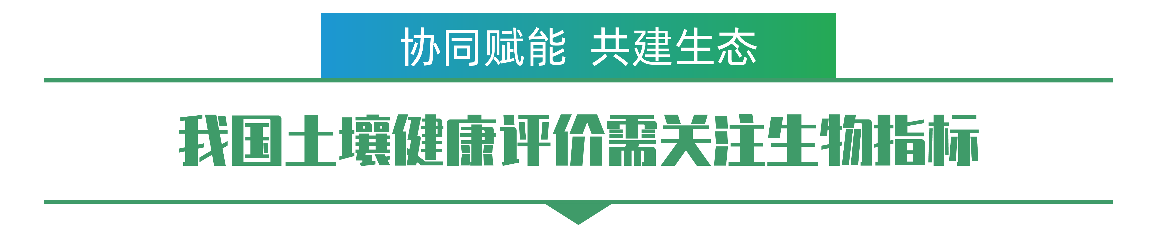 1702259150121398.png 李刚-01.png