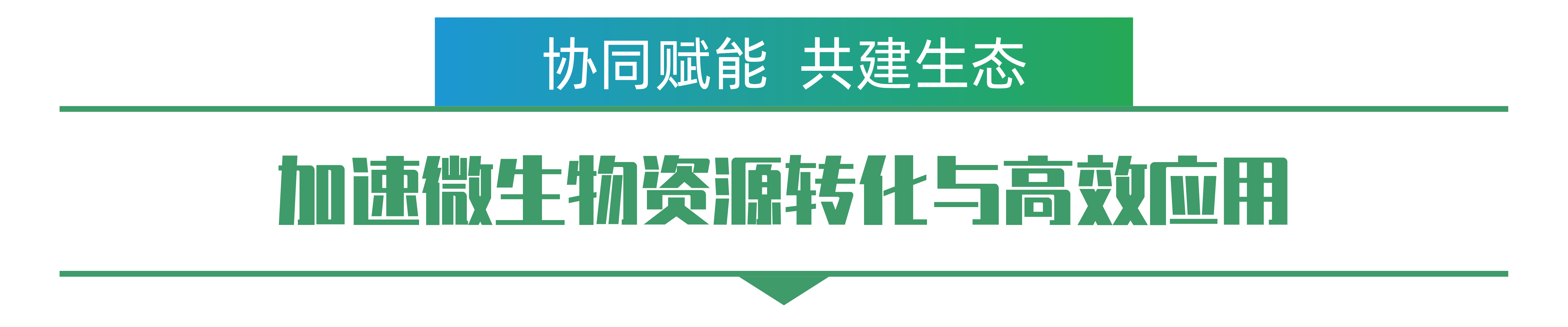 1702259203998767.png 王亚玉-01.png